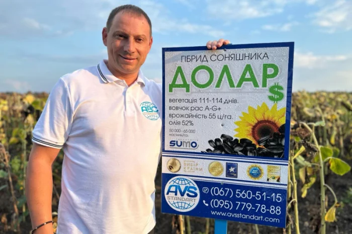 Соняшник під гранстар ДОЛАР. Високоврожайний гібрид ДОЛАР 55ц/га- фото № 4