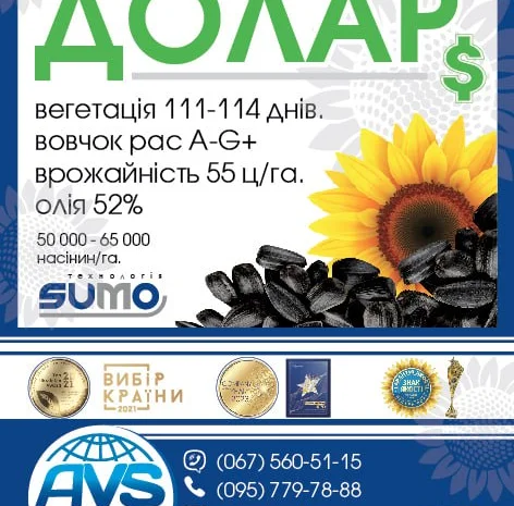 Соняшник під гранстар ДОЛАР. Високоврожайний гібрид ДОЛАР 55ц/га- фото № 5