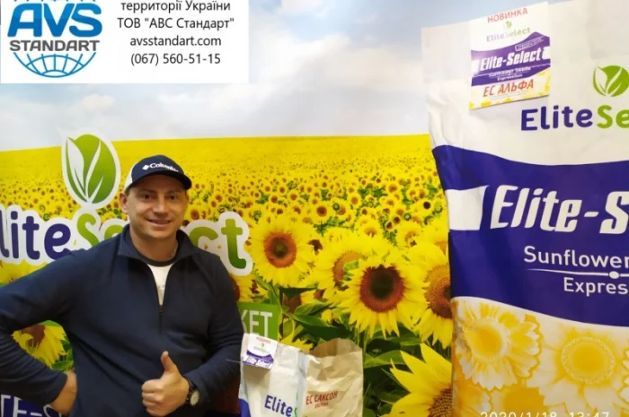 Семена ЕС Саксон под Гранстар. Гибрид подсолнечника ЕС Саксон A-G. Стандарт фракция- фото № 3