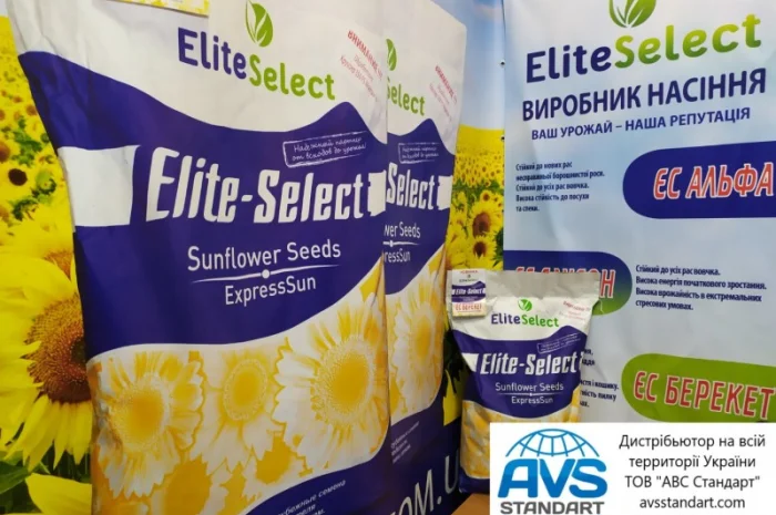 Семена ЕС Саксон под Гранстар. Гибрид подсолнечника ЕС Саксон A-G. Стандарт фракция- фото № 4