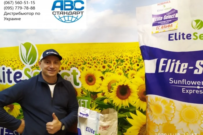 Семена ЕС Саксон под Гранстар. Гибрид подсолнечника ЕС Саксон A-G. Стандарт фракция- фото № 5