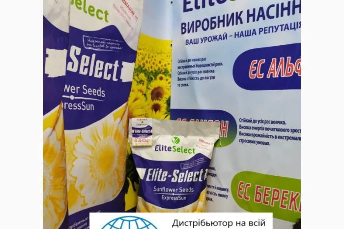 Подсолнечник под гербицид Гранстар Про Экспресс ЕС АЛЬФА. Засухоустойчивый гибрид ЕС Альфа- фото № 1