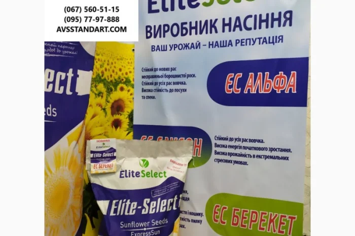 Подсолнечник под гербицид Гранстар Про Экспресс ЕС АЛЬФА. Засухоустойчивый гибрид ЕС Альфа- фото № 3