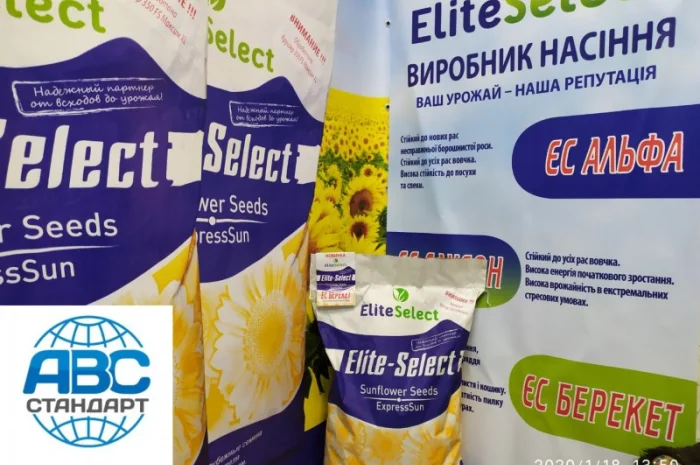 Подсолнечник под гербицид Гранстар Про Экспресс ЕС АЛЬФА. Засухоустойчивый гибрид ЕС Альфа- фото № 4