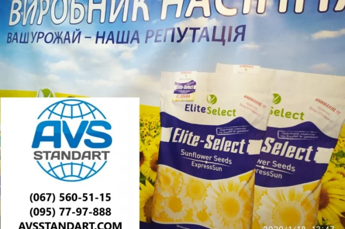 Гибрид подсолнечника ЕС Саксон - высокая урожайность 42 ц/га- фото № 2