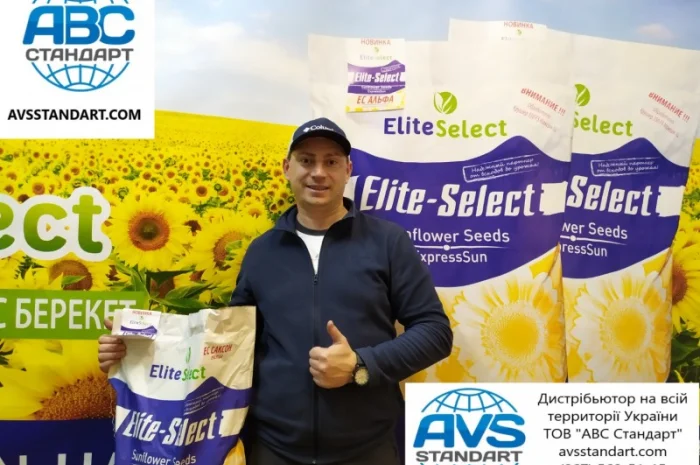 Гибрид подсолнечника ЕС Саксон - высокая урожайность 42 ц/га- фото № 4