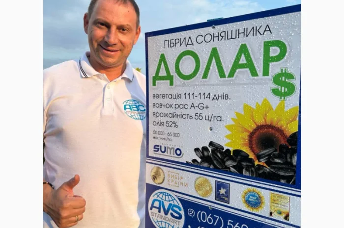 Гібрид соняшника Доллар Сумо стійкий до вовчка A-G+. Врожайний соняшник Долар 55ц/га- фото № 2