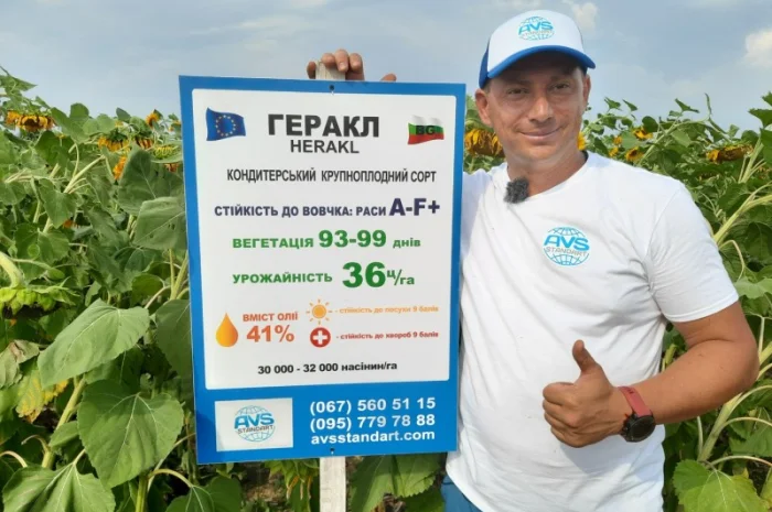 Кондитерский подсолнечник Геракл 93-99дней, 36ц/га, заразиха A-F+. Болгария- фото № 1