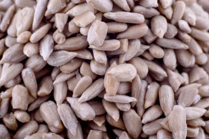 Закуповуємо насіння соняшника- фото № 1