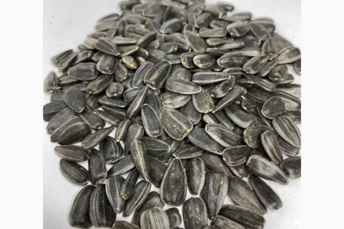 Продам подсолнух кондитерский посевной метериал- фото № 1