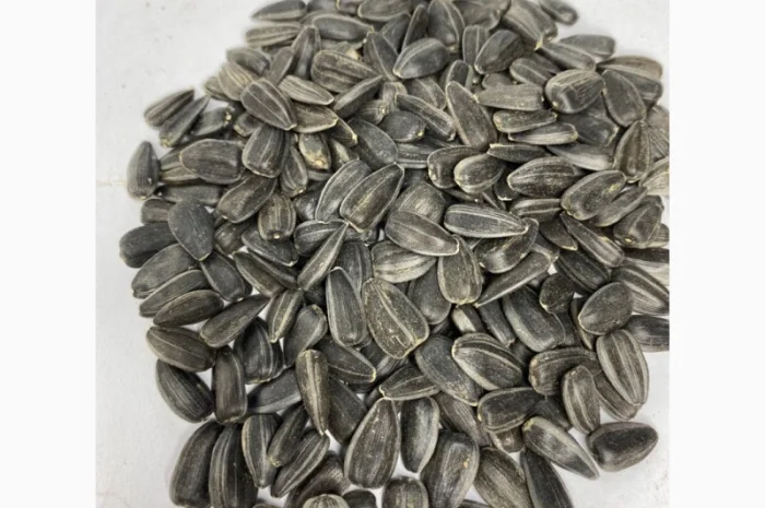 Продам подсолнух кондитерский посевной метериал- фото № 2