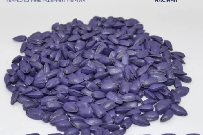 Продам Соняшник Авалон-, Тор, Пегас фракція Преміум- фото № 1