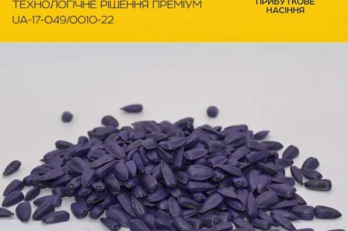 Продам насіння соняшнику Тор( Гранстар)- фото № 1