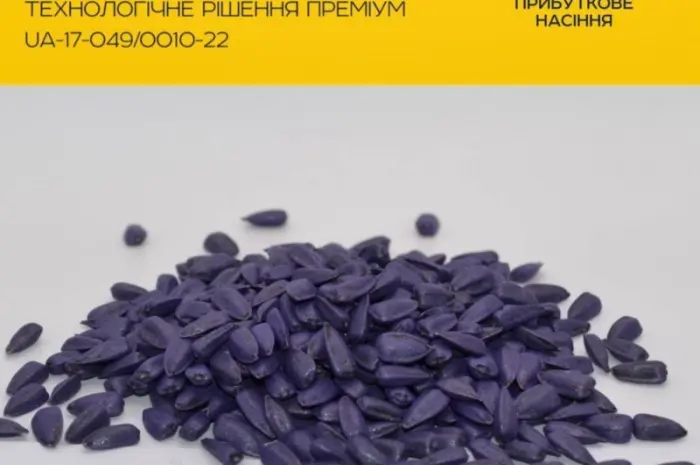 Продам насіння соняшнику Тор( Гранстар)- фото № 1