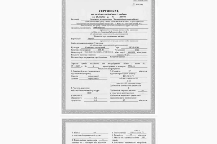 Продам насіння соняшнику Тор( Гранстар)- фото № 2