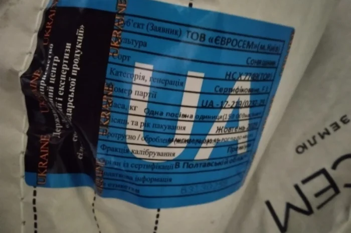 Продам насіння соняшнику Тор( Гранстар)- фото № 7