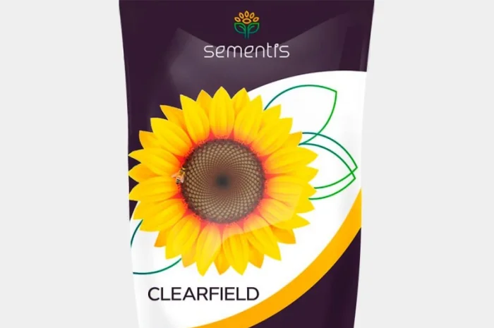 Продам насіння соняшнику Авалон, Тор, Старк, Суліко, Евро, Рімі-2, Командор 777, Пегас- фото № 2