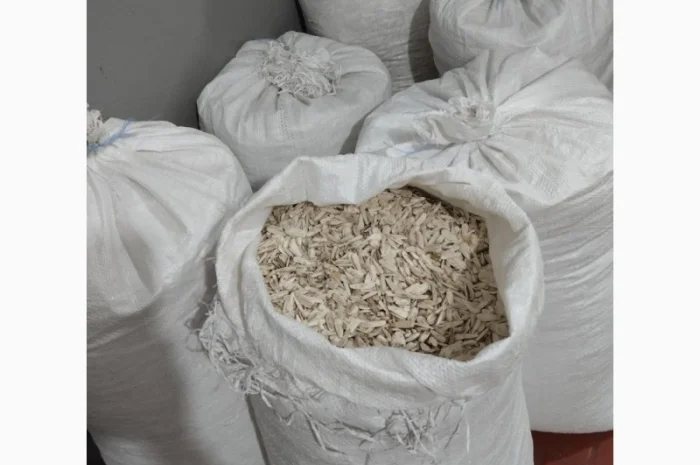 Насіння білого соняшника- фото № 2