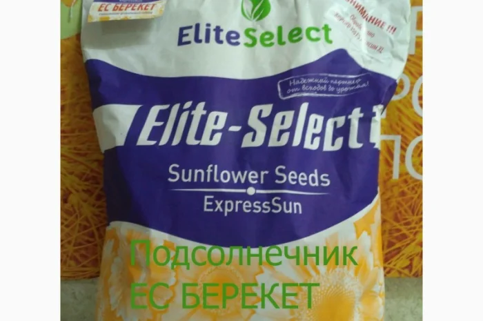 Семена подсолнечника под Евролайтинг ЕС БЕРЕКЕТ- фото № 1