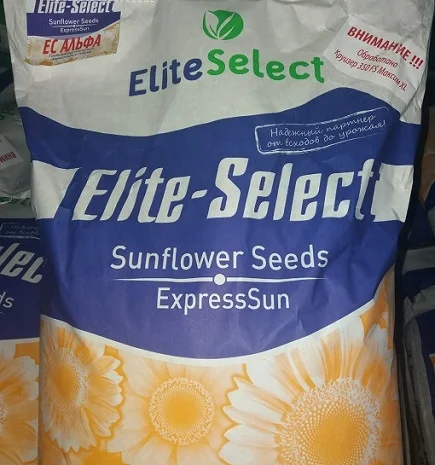 Насіння соняшника ЄС АЛЬФА - стійкий до Гранстару- фото № 1