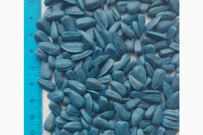 Семена подсолнечника Джин- фото № 1