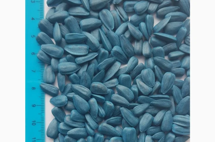 Насіння соняшника кондитерського Джин Лакомка Алмаз- фото № 1