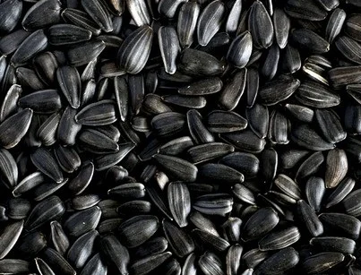 Семечки подсолнечника кондитерского для жарки опт розница- фото № 1