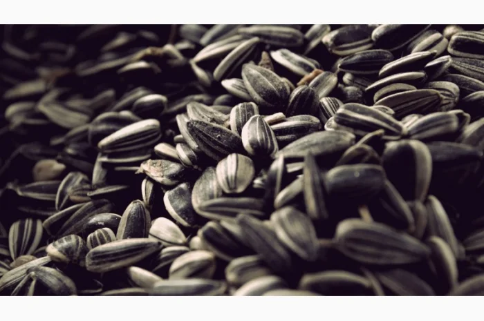 Закупаем подсолнечник с маслом- фото № 1