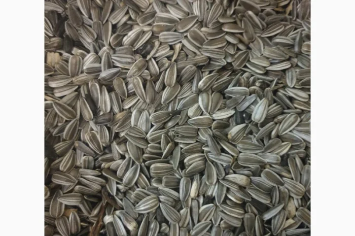 Куплю семечку подсолнечника- фото № 1