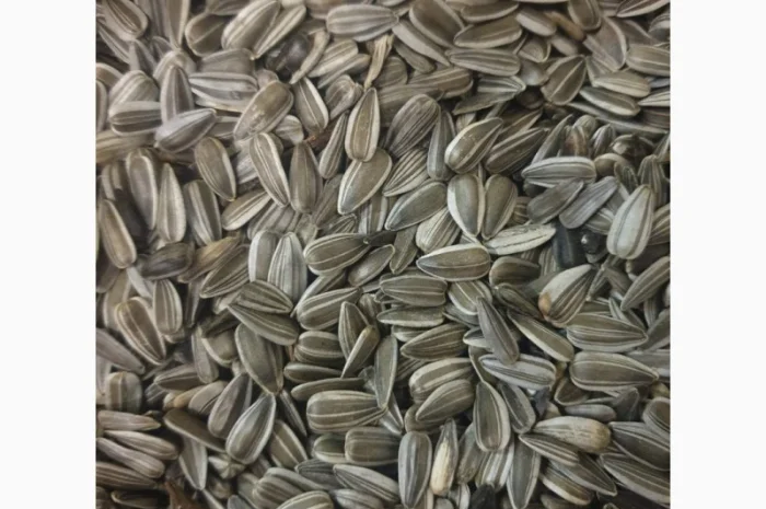 Куплю семечку подсолнечника- фото № 2