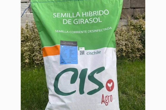 Продам гібриди соняшника CIS agro- фото № 1