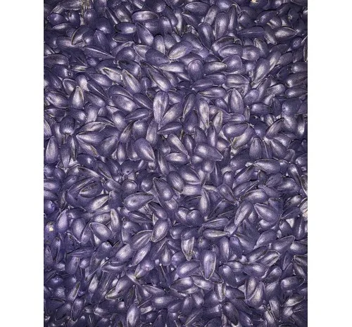 Насіння соняшника, гібрид ГУСЛЯР (повна стиглість 105 діб.)- фото № 2