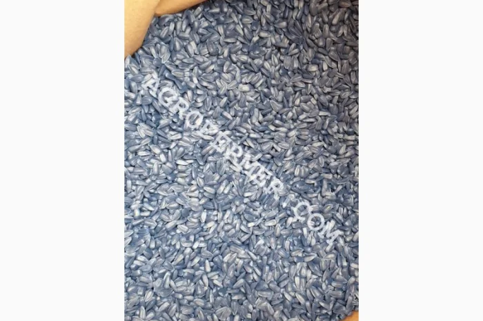 Семена подсолнечника LEBRON- фото № 2