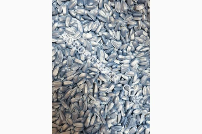 Семена подсолнечника LEBRON- фото № 3