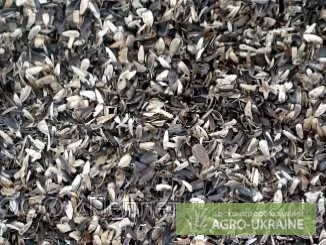 Закупаем отходы (некондицию) подсолнечника- фото № 1