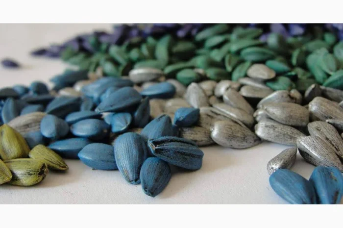 Закупаем некондиционный посевмат подсолнечника- фото № 1