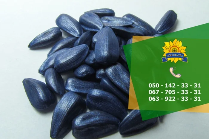Семена подсолнечника Ясон / Насіння соняшника- фото № 2