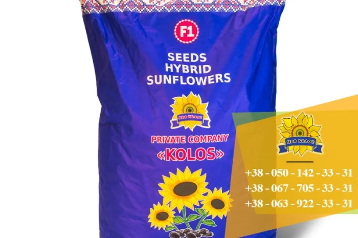 Семена подсолнечника Ясон / Насіння соняшника- фото № 5