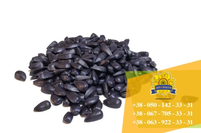 Семена подсолнечника Солтан / Насіння соняшника- фото № 3