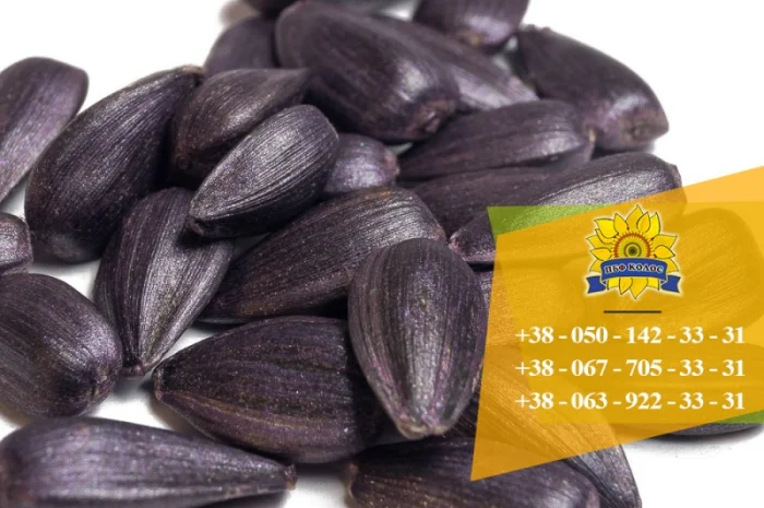 Семена подсолнечника / Насіння соняшника Базальт- фото № 2