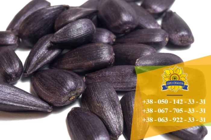 Семена подсолнечника / Насіння соняшника Базальт- фото № 4