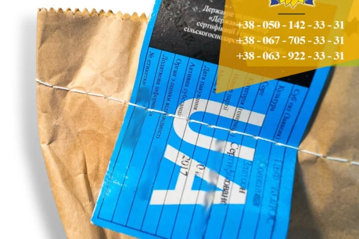 Семена подсолнечника / Сертифіковане насіння соняшника- фото № 12