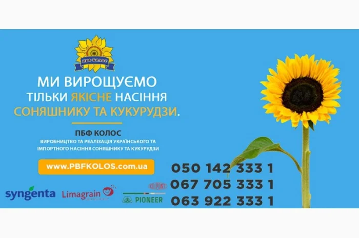 Насіння виробника ПБФ "Колос"- фото № 1