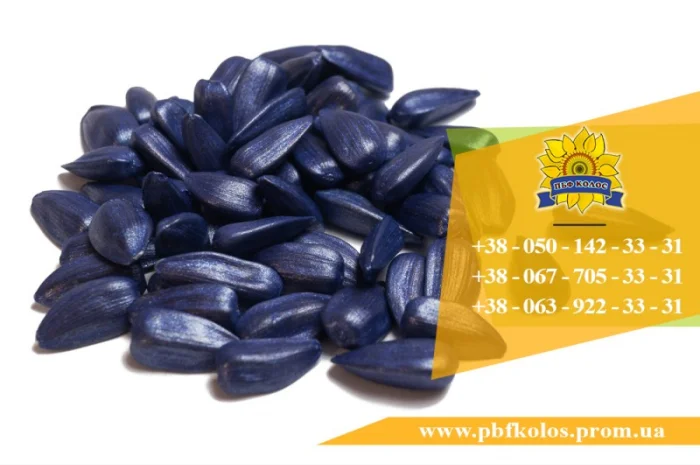 Якісне насіння від виробника ПБФ «Колос»- фото № 3