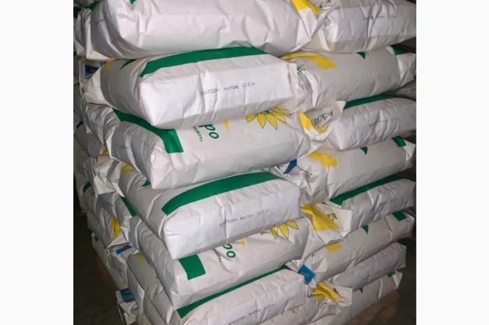 Соняшник Златсон- фото № 3