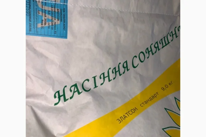 Соняшник Златсон- фото № 5