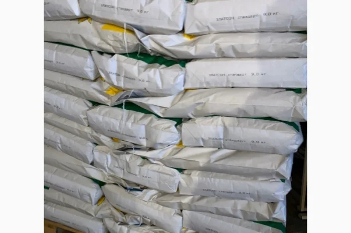 Соняшник Златсон- фото № 6