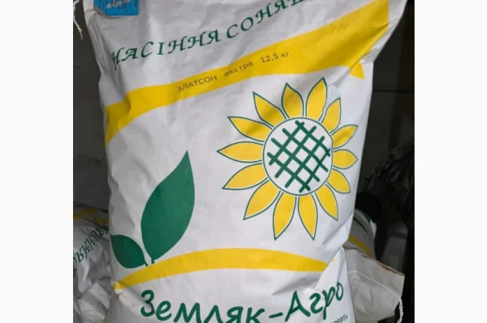 Соняшник Златсон- фото № 1