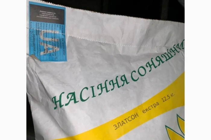 Соняшник Златсон- фото № 2