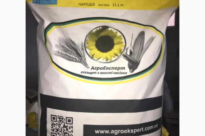 Соняшник ЧАРОДІЙ- фото № 1